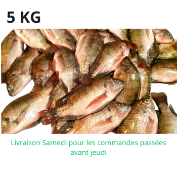 Poisson / Tilapia 5 kg