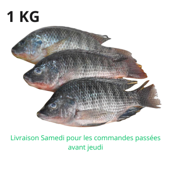 Poisson / Tilapia 1 kg