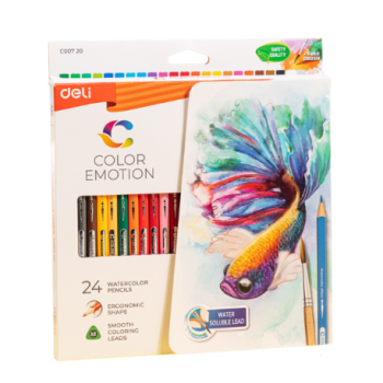CRAYON DE COULEUR  24 CLRS | COLORED PENCIL DEC00720