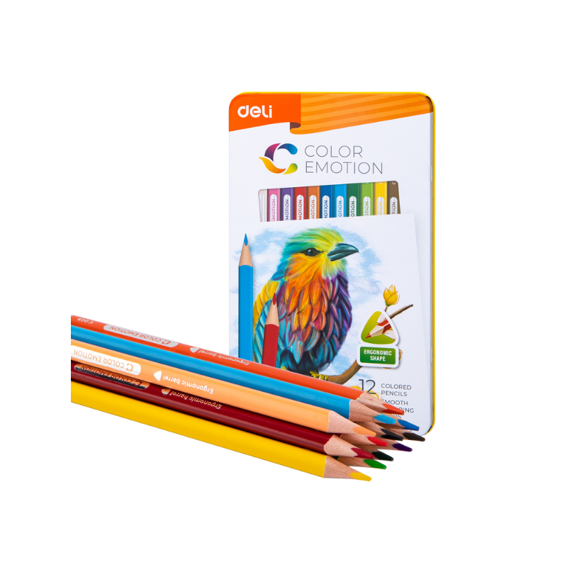 CRAYON DE COULEUR 12 CLRS | COLORED PENCIL DEC00205