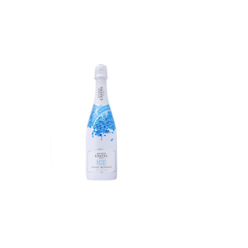 VIN DE France Maison CASTEL