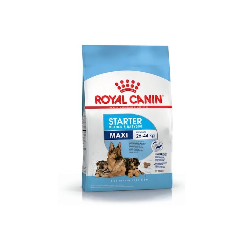 CROQUETTES ROYAL CANIN SHN MAXI STARTER 15KG