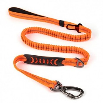 LAISSE AVEC ATTACHE CEINTURE VOITURE