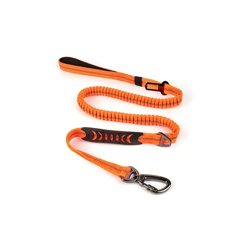 LAISSE AVEC ATTACHE CEINTURE VOITURE