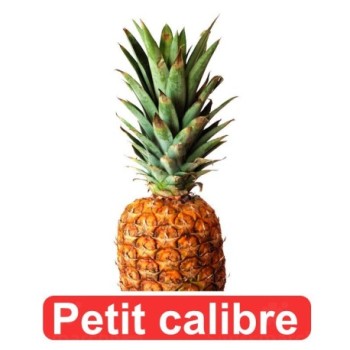 Ananas Frais 1 pièce |   Petit Calibre | Mûr à consommer le jour même