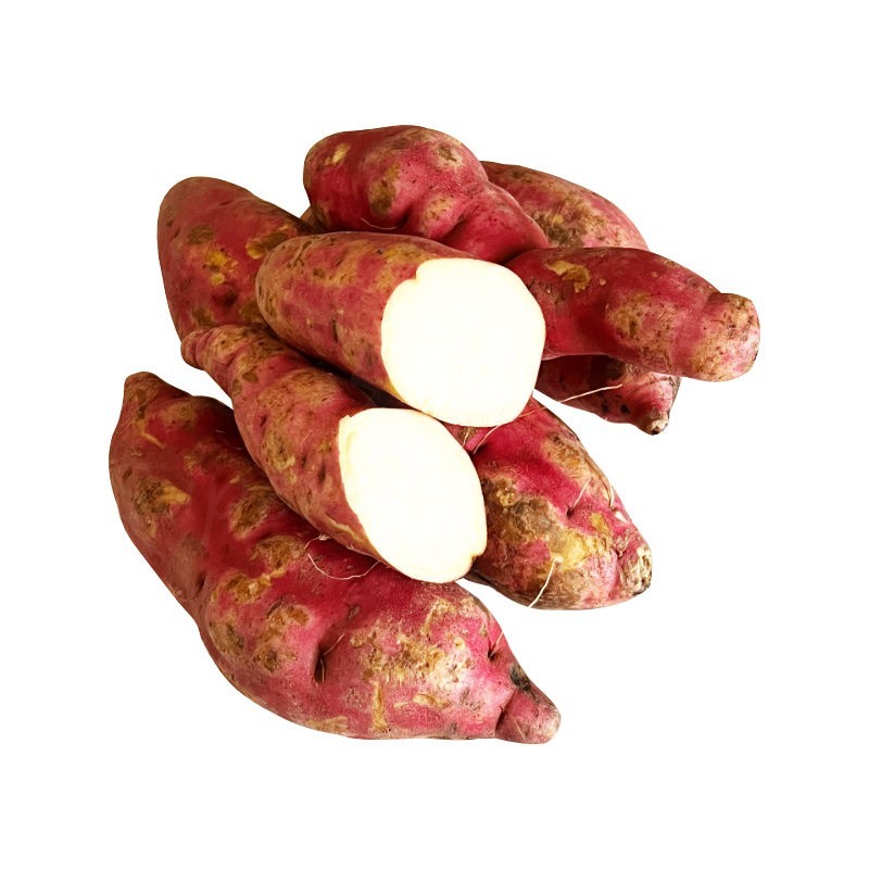 Patate douce Vomanga 1kg | Chair Blanche