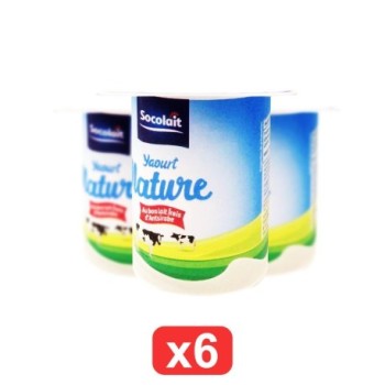Pack de 6 Yaourt nature sans sucre Socolait 100g x 6