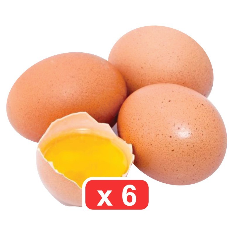 Oeuf de volaille Vonjy Pack de 6