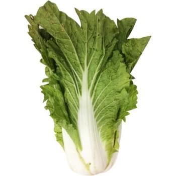 Brèdes Choux de Chine 500g