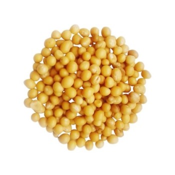 Pois de bambara 1kg | Voanjobory maina