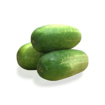 Concombres 1kg | Calibre Moyen