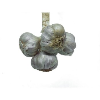 Ail frais 3 têtes | Tongolo gasy