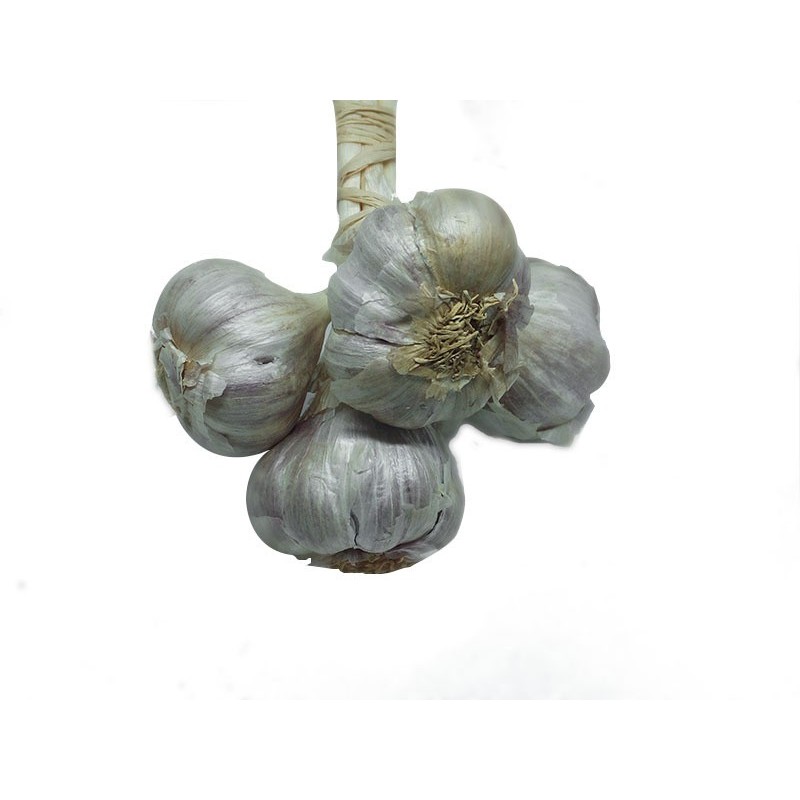 Ail frais 3 têtes | Tongolo gasy