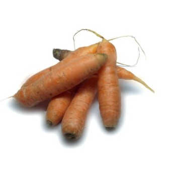 Carottes fraîches 1kg  | Calibre moyen