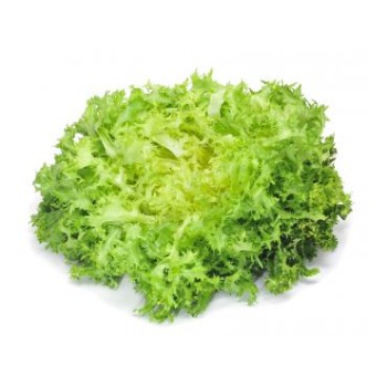 Salade Verte 1 pièce | Battavia