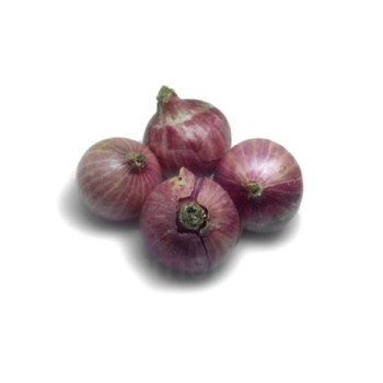 Oignons frais 500g | Calibre moyen