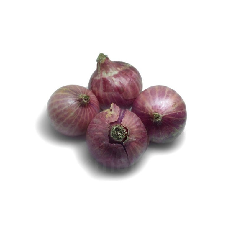 Oignons frais 500g | Calibre moyen