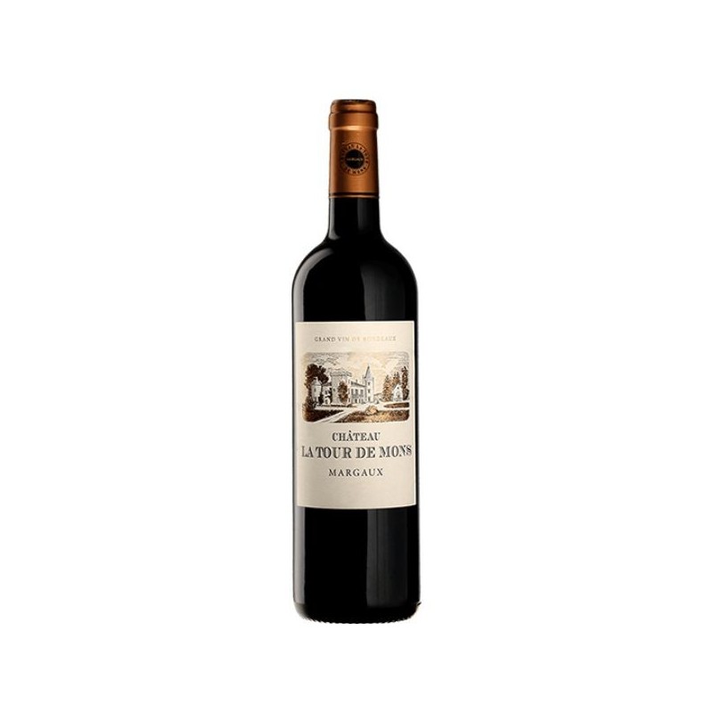 Vin rouge château la tour des mons 2018 75 cl
