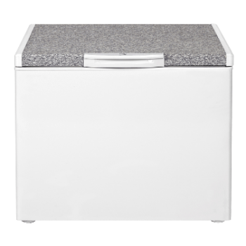 Congelateur Beko HS305 254L