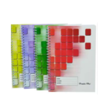 Cahier Spiral Premier Plus FAC16 96pages / A4seyes 16paquets