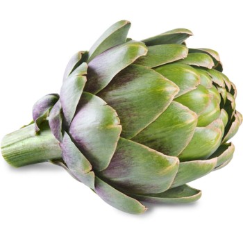 Artichaut