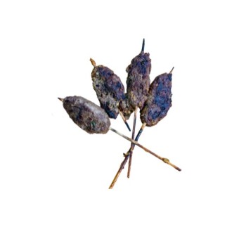 Brochette de Sot L'Y Laisse...