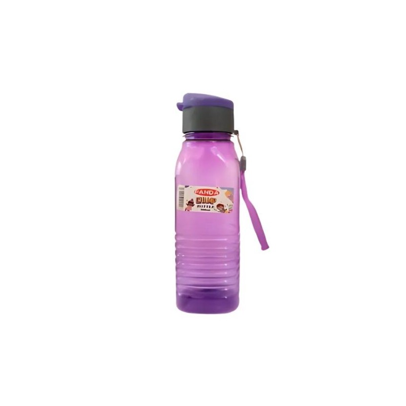 Gourde champion 500ml