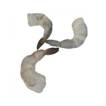 CREVETTES DECORTIQUEES / PAD (XS 31/90 unités par kg) Boite 1