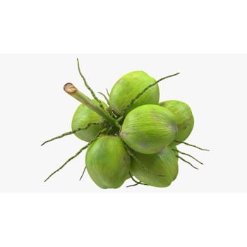 Coco vert pm 1 pièce