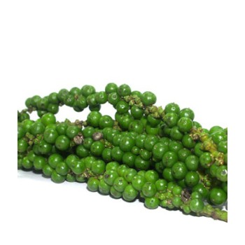 Poivre Vert Frais 100 g