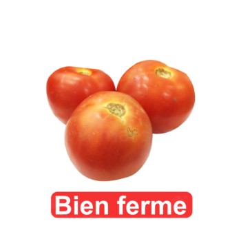 Tomates rondes bien fermes...