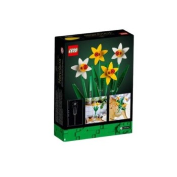 Les Jonquilles Iconic