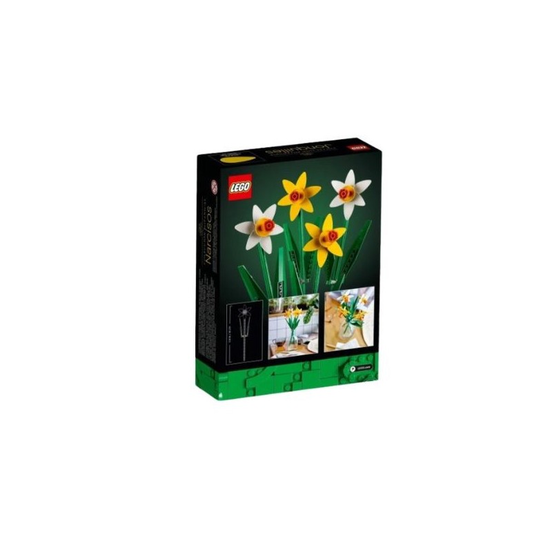 Les Jonquilles Iconic